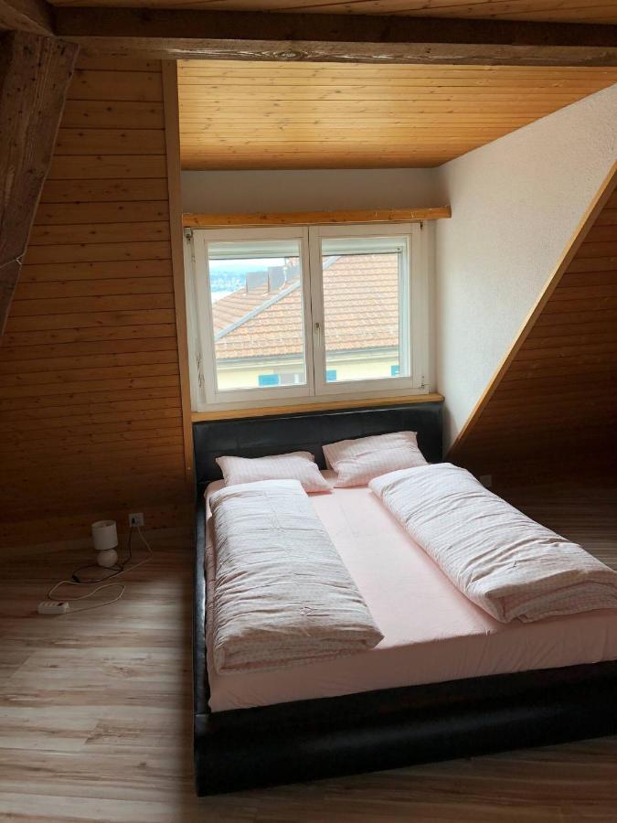 Wadenswil 3 Zimmer Wohnung Genau Beim Zurichsee Екстер'єр фото